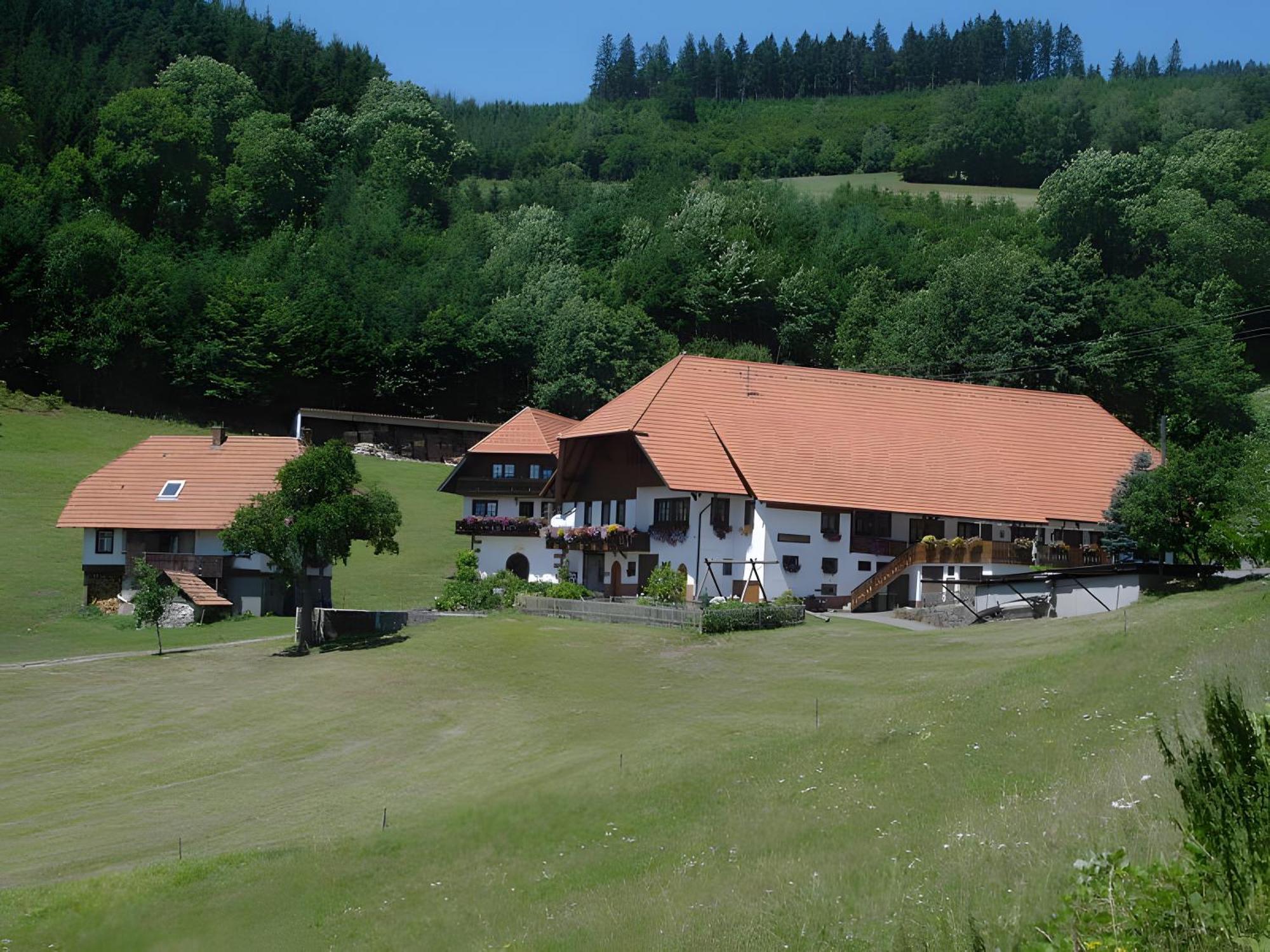 Uhlhof Apartment Neuenbach Екстериор снимка