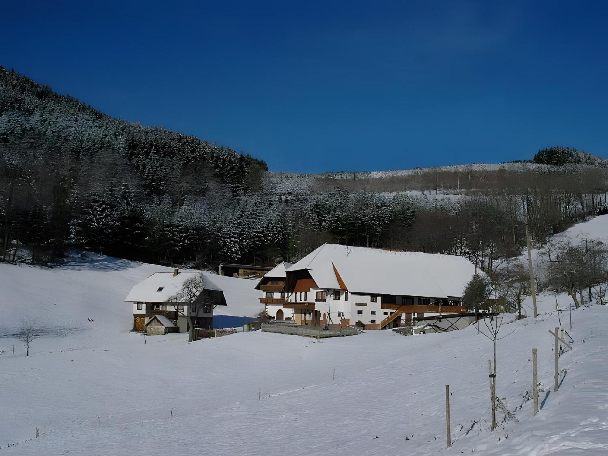 Uhlhof Apartment Neuenbach Екстериор снимка