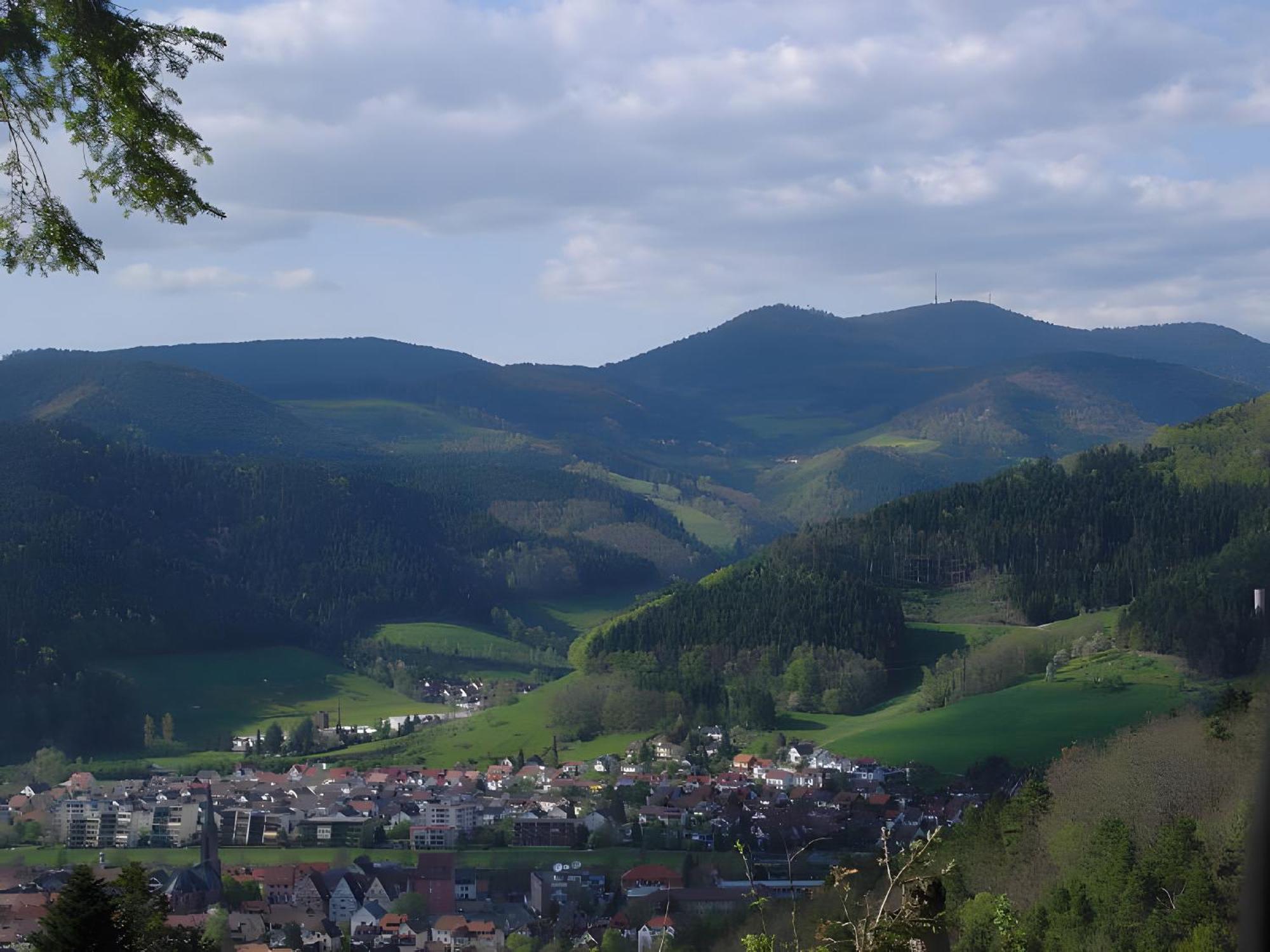 Uhlhof Apartment Neuenbach Екстериор снимка